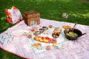 picnic