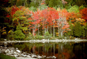 Walden Pond