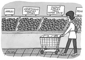 apples-at-the-market